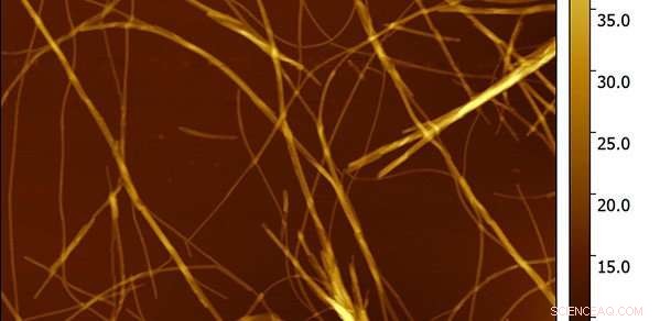 Harnessing Self‑Assembling Peptides to Combat Obesity and Diabetes