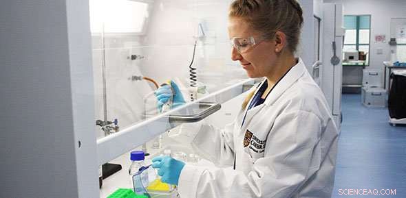 Harnessing Self‑Assembling Peptides to Combat Obesity and Diabetes