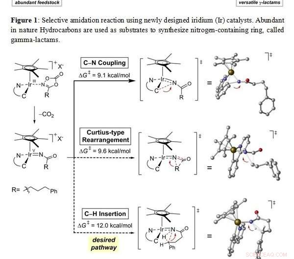 Efficient Gamma‑Lactam Ring Synthesis from Hydrocarbons via Novel Iridium Catalysis