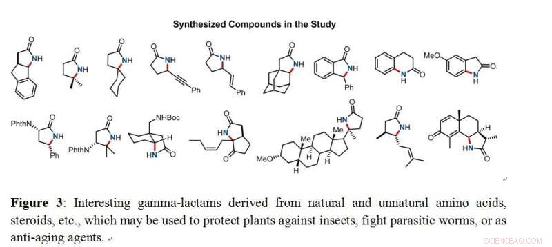 Efficient Gamma‑Lactam Ring Synthesis from Hydrocarbons via Novel Iridium Catalysis