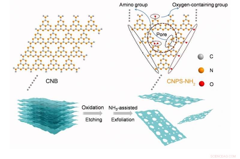 Nanostructuring Boosts Metal‑Free Photocatalyst Efficiency Elevenfold