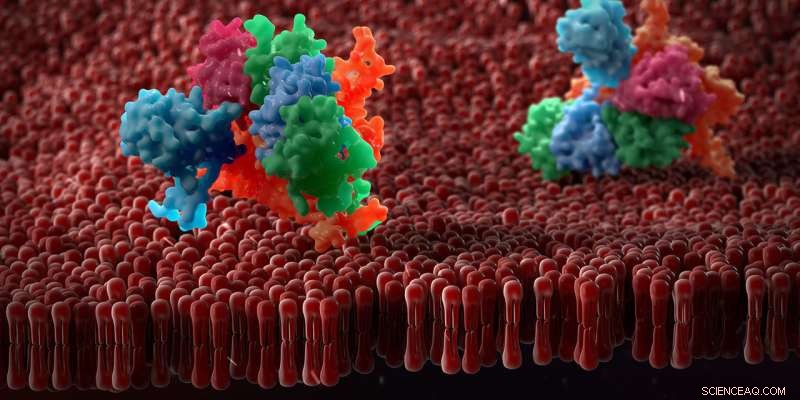 ETH Zurich Unveils Cutting-Edge Protein Crystallization Tool