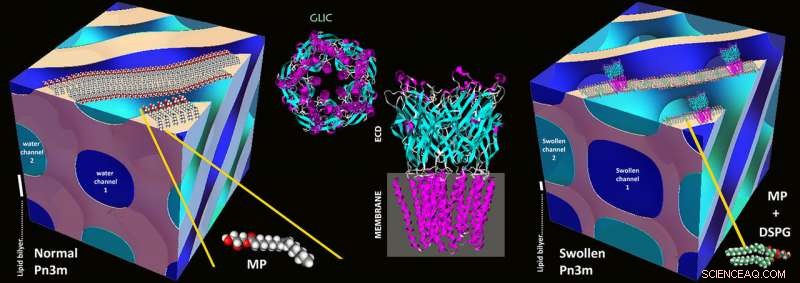 ETH Zurich Unveils Cutting-Edge Protein Crystallization Tool
