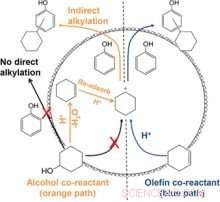 Unveiling Reaction Mechanisms with Advanced Molecular Spectroscopy