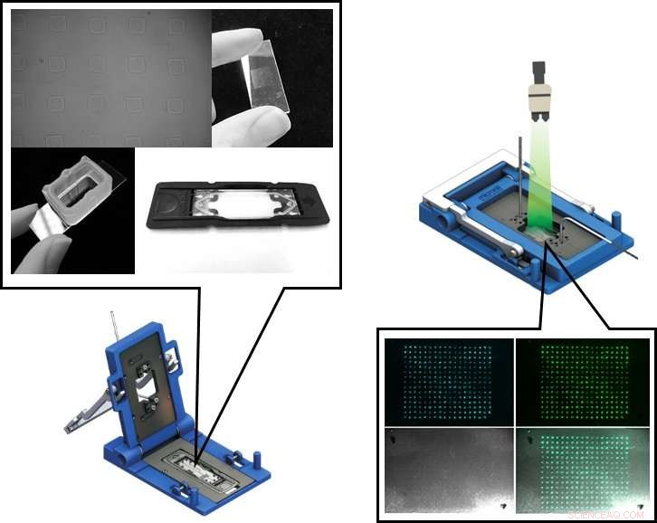 Receptomics: A Breakthrough Technique Advancing Drug Discovery and Nutritional Innovation