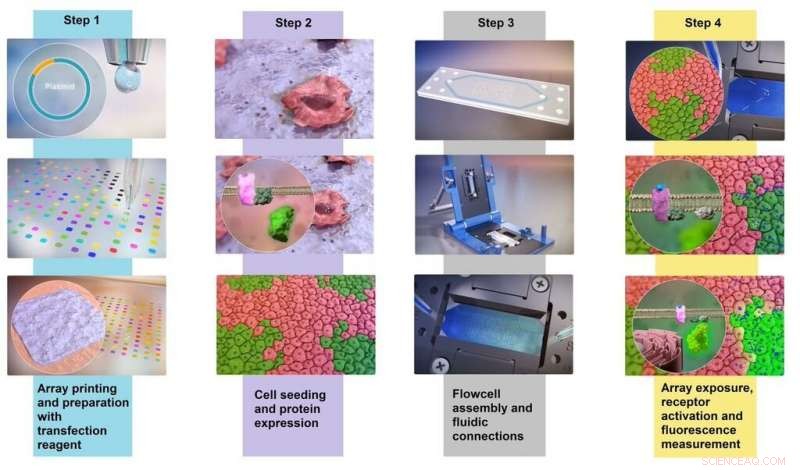 Receptomics: A Breakthrough Technique Advancing Drug Discovery and Nutritional Innovation