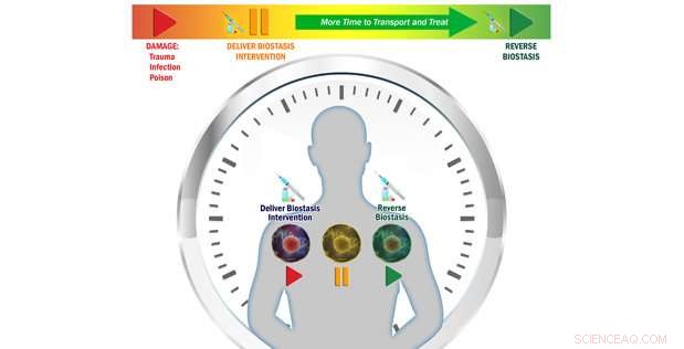 DARPA’s Biostasis: Extending the Golden Hour by Slowing Cellular Biochemistry to Save Lives