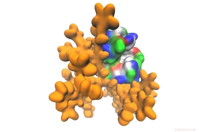 Scientists Create Multifunctional Protein‑Polymer Films for Advanced Applications