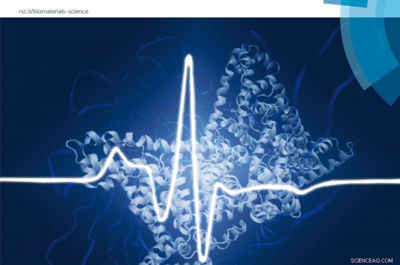 Innovative Gel Materials Derived from Human Albumin Protein