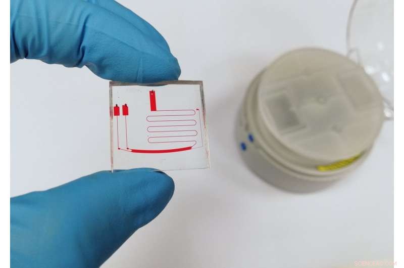 Revolutionizing Disease Diagnostics with a Novel μCENSE Centrifugal Chip