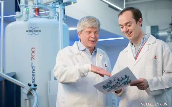 Scientists Discover a Rheostat that Balances Cell Survival and Death