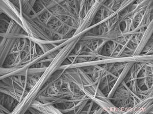 Engineered Potassium‑Selective Ion Channels Enable Rapid Transport Across Synthetic Membranes