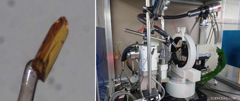 Hokkaido University Breaks Record for Longest Carbon-Carbon Single Bond