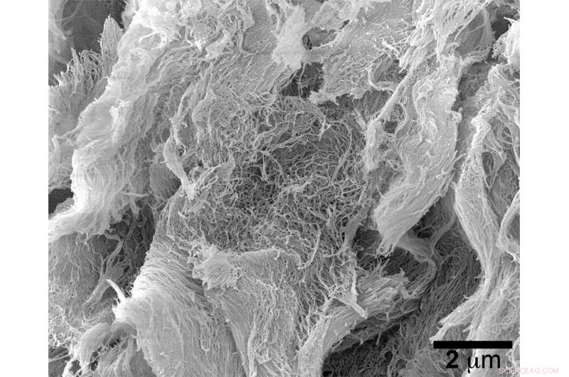 Revolutionary Slow-Release Hydrogel Enhances Cancer Immunotherapy Efficacy