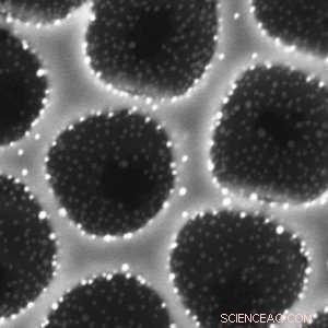 New Platform Streamlines Design of Tunable Catalytic Systems