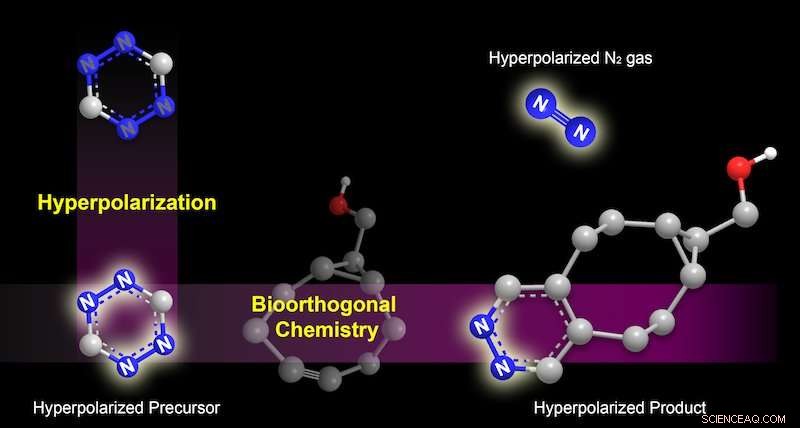 MRI Chemical Tags Bind Specifically to Target Molecules Using Velcro-Like Attachment