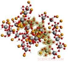 Real-Time Tracking of Crystallization Mechanisms: Unlocking Insights