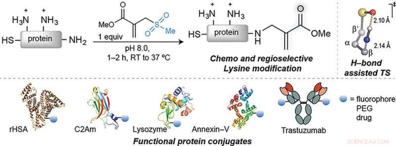 Engineering Protein Drugs: Triggering Chemical Chain Reactions for Cancer Therapy