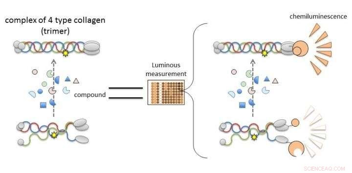 High‑Sensitivity, Multi‑Analytical Platform for Diagnosing Hereditary Kidney Disorders