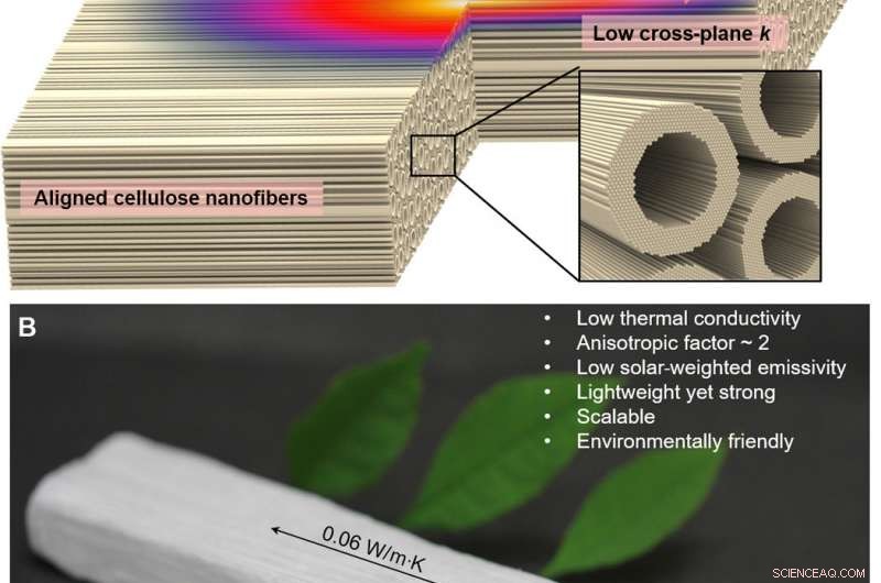 Nanowood: An Innovative, Eco‑Friendly Material to Reduce Carbon Footprints