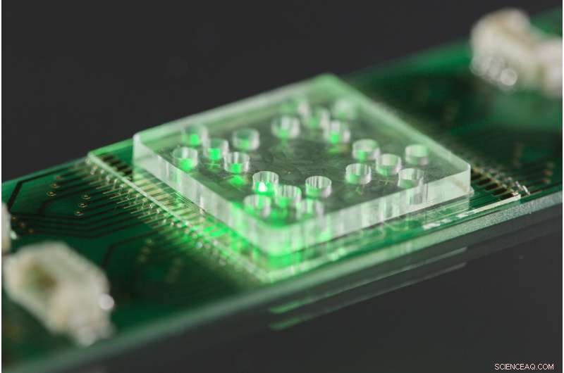 Advanced Light‑Based Microfluidic Technique for Rapid Pathogen Diagnosis