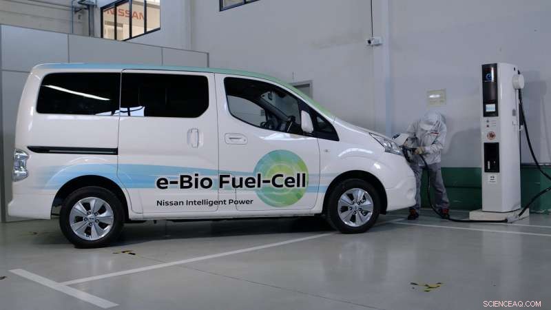 Revolutionizing Fuel Cell Efficiency with a Multifunctional Catalyst