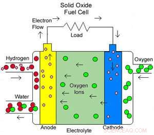 Revolutionizing Fuel Cell Efficiency with a Multifunctional Catalyst
