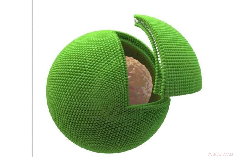 Artificial and Biological Cells Collaborate to Form Mini Chemical Factories