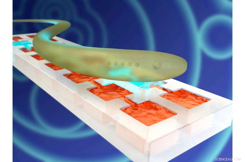 Researchers Replicate Neural Tissue, Advancing Soft Robotics and Artificial Skins