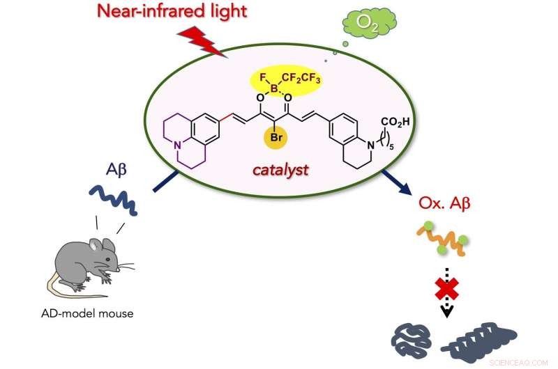 Near‑Infrared Photoactivatable Catalysts for Targeted Amyloid‑β Oxygenation and Degradation