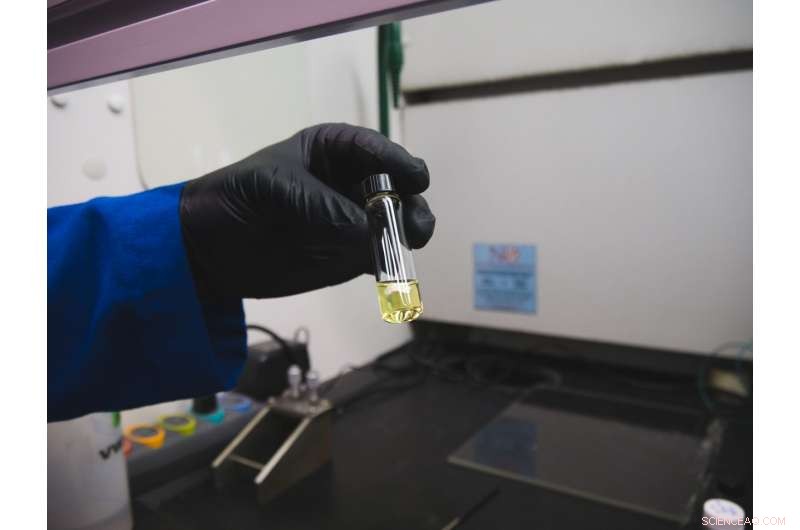 Scientists Engineer Protein Mat That Absorbs and Degrades Pollutants