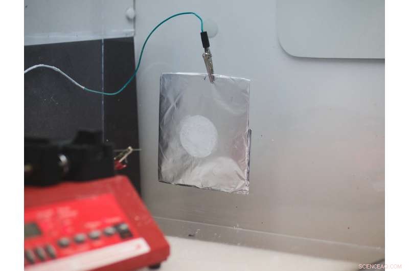 Scientists Engineer Protein Mat That Absorbs and Degrades Pollutants