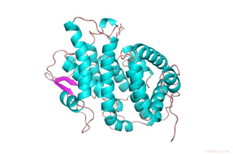 Platypus Milk: A Breakthrough in Life‑Saving Medicine