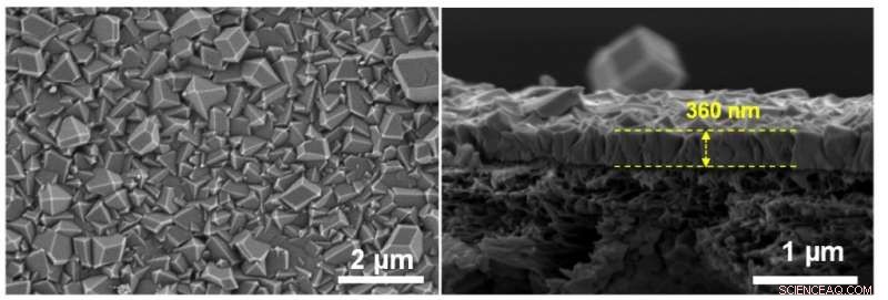 Metal‑Organic Frameworks Slash Energy Use in Petrochemical Separations
