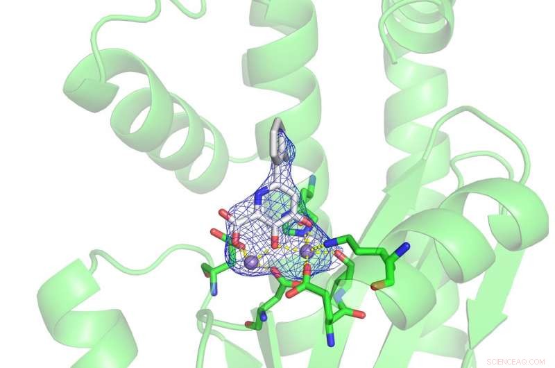 New Flu Treatment Breakthrough: How a Small Molecular Adjustment Boosts Antiviral Efficacy