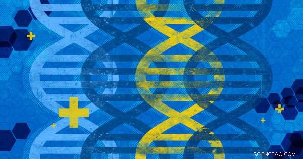 Engineering DNA Switches for Targeted Cancer Drug Delivery