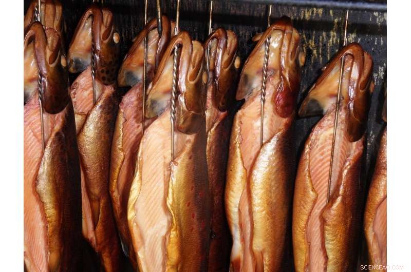 Smoked Foods Taste Better & Safer: Auto Industry Insight Reduces Carcinogens