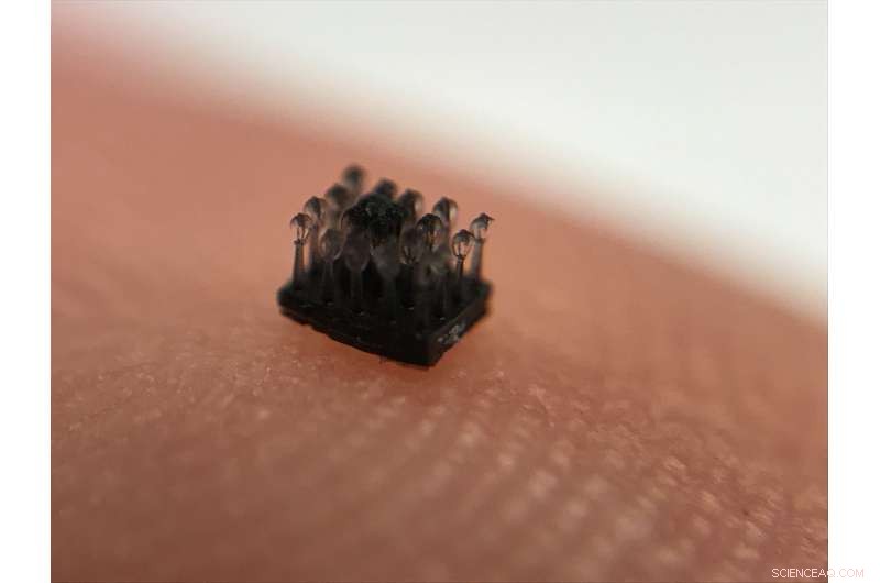 Plant-Inspired Solutions: Advancing Oil Spill Cleanup Through Microfluidic Design