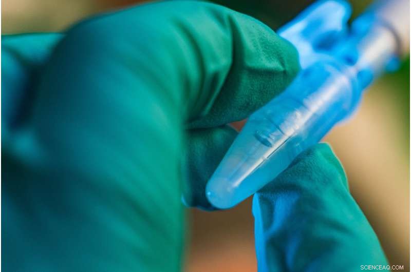 Rice University Breakthrough: Hydrogel Accelerates Healing of Diabetic Foot Ulcers