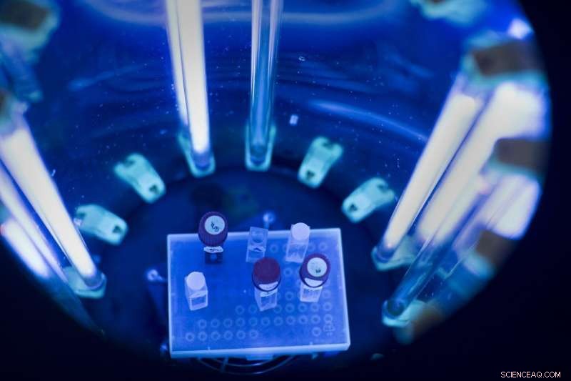 New Study Reveals Cyanide’s Crucial Role in Life’s Early Chemistry