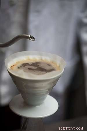 How Chemistry Guarantees the Perfect Espresso Shot Every Time