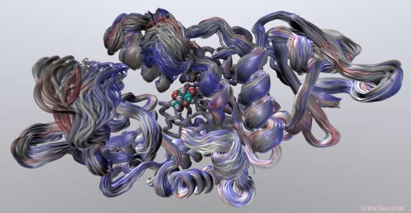 How Enzyme Flexibility Drives Evolutionary Adaptation to Temperature