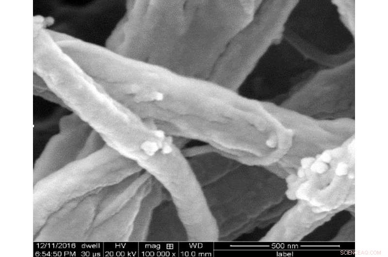 Advanced Water‑Purification Mat Captures and Decomposes Pollutants with Titanium Dioxide