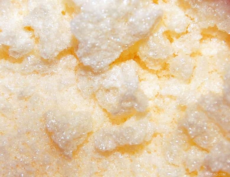 Synthetic Carbohydrate Vaccine Shows Promise Against Pneumococcal Infections