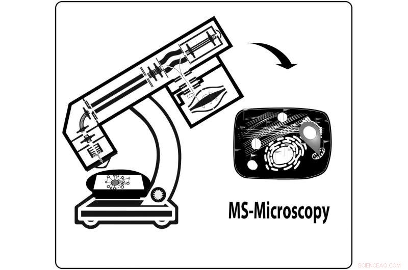 Streamlined Integrated Workflow Enhances Accuracy in Interaction Proteomics