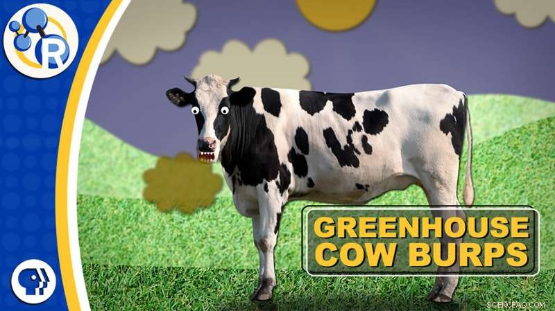 Explosive Impact: How Cow Burps Contribute to Methane Emissions
