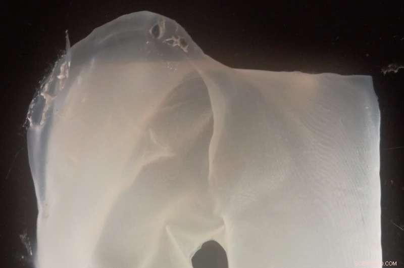 Efficient 3‑D Bio‑Fabrication of Bacterial Cellulose Structures