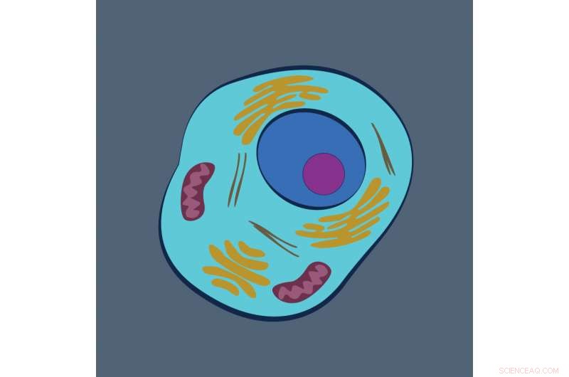 Innovative Technique Unveiled by Chemists for Precise Protein Identification