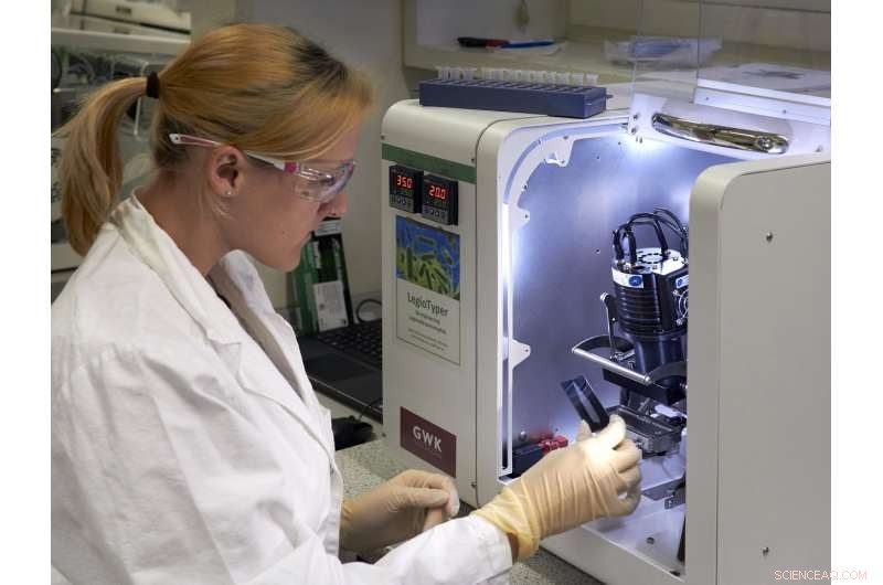 Rapid Microarray Test Accelerates Legionella pneumophila Detection in Outbreaks