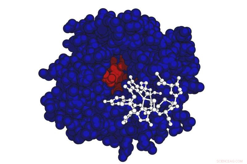 Bacteria Convert Methane into Protein, Reducing Greenhouse Gas
